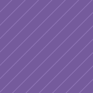 Демо-товар 4.1